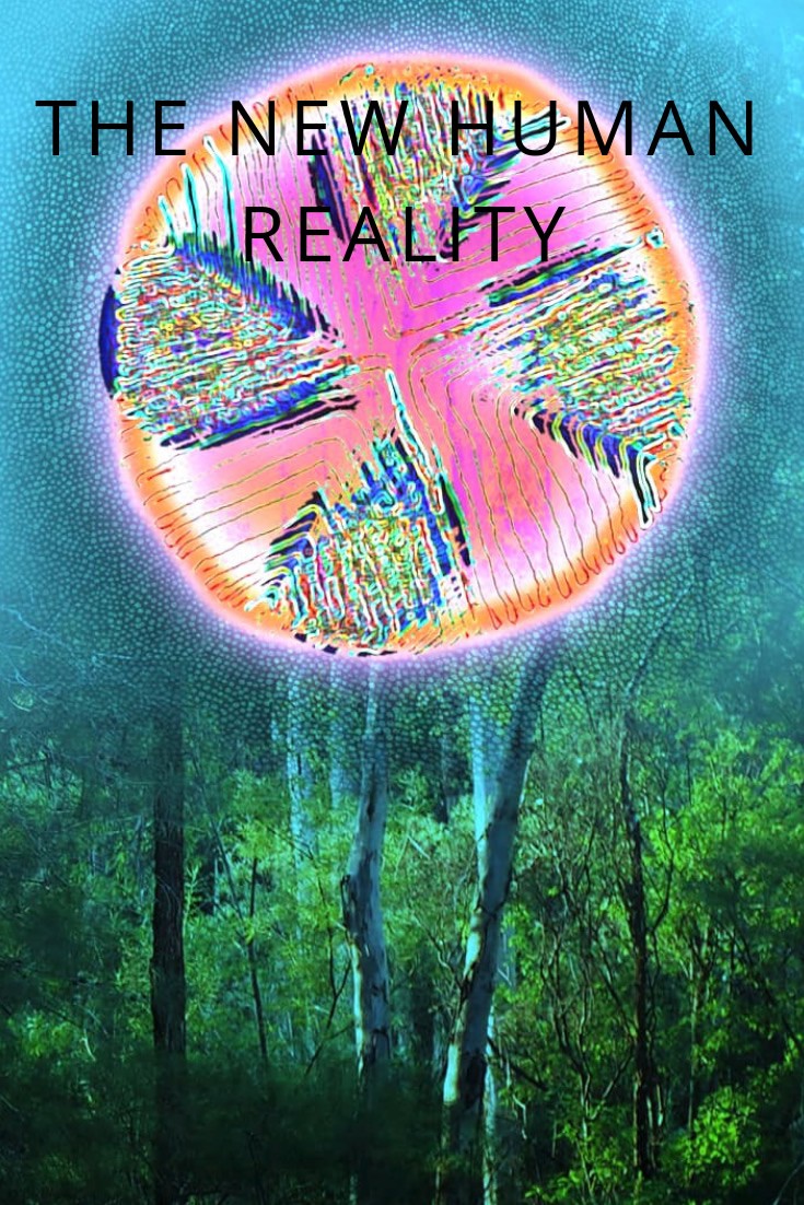 The New Human Reality Masterclass